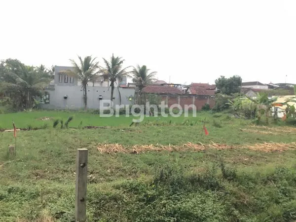 image TANAH 403 M2 DI LAWANG, SEBELAH ASRAMA PUTRI (1)