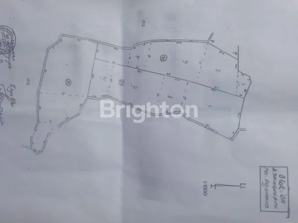 image TANAH SAWAH SIAP PAKAI DI WRINGINPITU MOJOAGUNG (2)