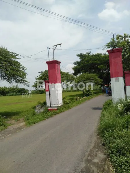 image TANAH SAWAH SIAP PAKAI DI WRINGINPITU MOJOAGUNG (8)