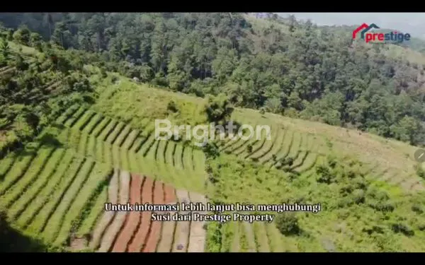 image TANAH SUPER LUAS DI DAERAH BANDUNG DEKAT GUNUNG MANGLAYANG (7)