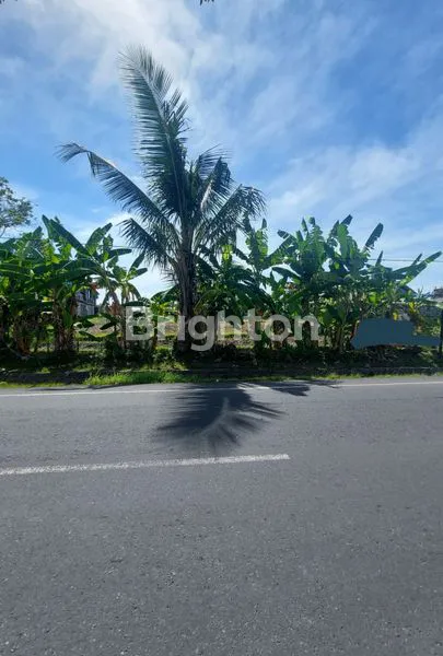 image TANAH SELUAS 43,5 ARE DI JALAN RAYA KEROBOKAN (1)
