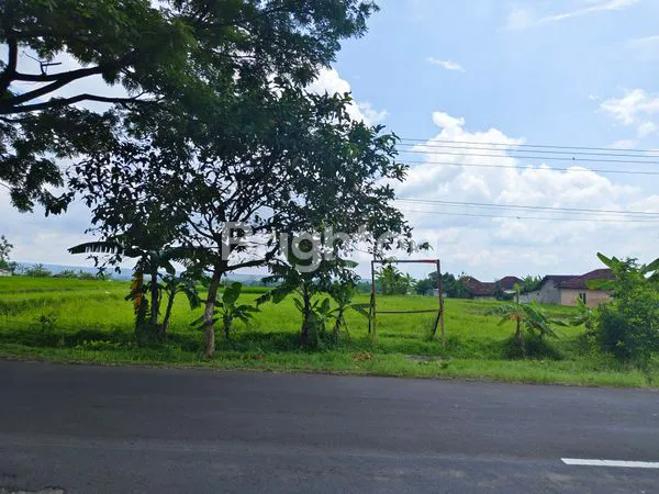 TANAH JALAN LAWU KARANGPANDAN ARAH TAWANGMANGU