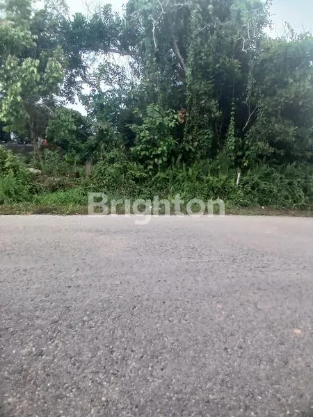 image TANAH DATAR TEPI JALAN KM.8 SIAP BANGUN COCOK UNTUK RUMAH PRIBADI ATAU KOST-KOSTAN.DI BALIKPAPAN UTARA. (3)