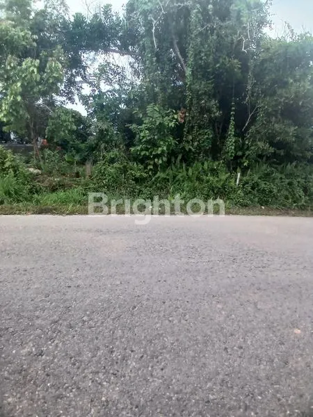 image TANAH DATAR TEPI JALAN KM.8 SIAP BANGUN COCOK UNTUK RUMAH PRIBADI ATAU KOST-KOSTAN.DI BALIKPAPAN UTARA. (1)