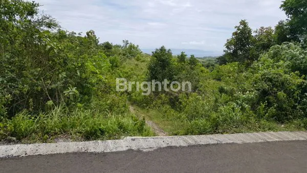 image TANAH KAVLING SIAP BANGUN PEJUKUTAN OCEAN VIEW DENGAN VIEW LAUT DAN VIEW UBUD BALI (1)