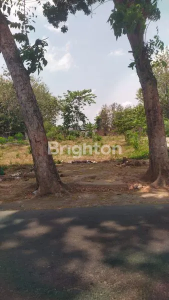 TANAH 885M2 DEKAT GOR LEMBUPETENG, TULUNGAGUNG