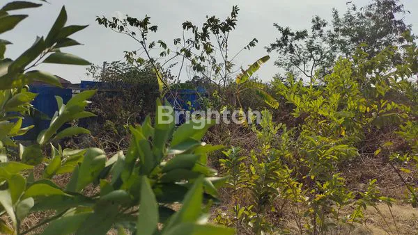 RUMAH HITUNG TANAH MURAH LOKASI BALONG PANGGANG GRESIK