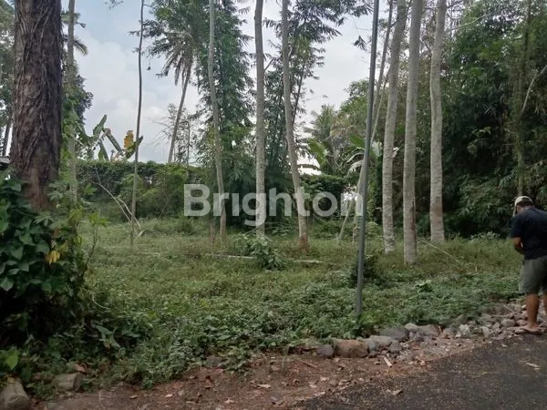 image TURUN HARGA !! TANAH STRATEGIS DI PAKEM KALIURANG YOGYAKARTA. (2)