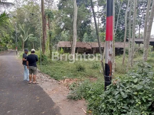 image TURUN HARGA !! TANAH STRATEGIS DI PAKEM KALIURANG YOGYAKARTA. (4)