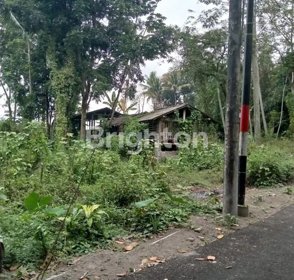 image TURUN HARGA !! TANAH STRATEGIS DI PAKEM KALIURANG YOGYAKARTA. (3)