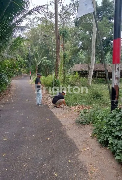 image TURUN HARGA !! TANAH STRATEGIS DI PAKEM KALIURANG YOGYAKARTA. (1)