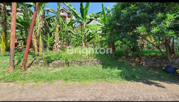 image TANAH ISTIMEWA, LOKASI STRATEGIS, DEKAT AKPOL, PERMATA SEMERU, KARANGREJO, GAJAH MUNGKUR, SEMARANG  (1)