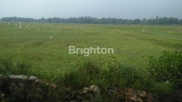 image TANAH NOL JALAN DI BANGKALAN (1)