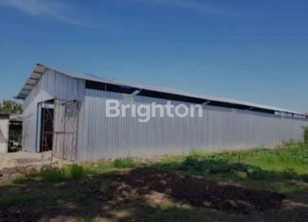 image DISEWAKAN GUDANG SIAP PAKAI SAMBIKEREP SURABAYA (2)