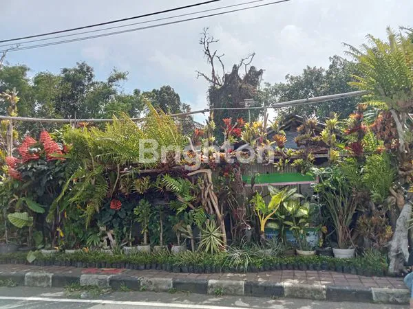 image TANAH 7 ARE DEKAT KEBUN RAYA BEDUGUL (5)