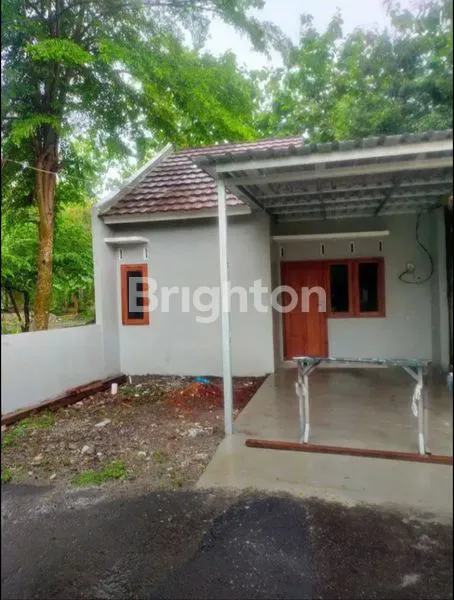 image RUMAH SENTOLO (1)