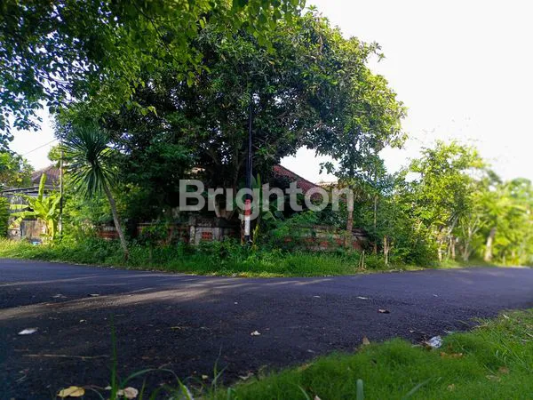 LAHAN DALAM PERUMAHAN SILIGITA