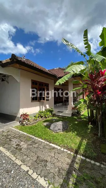 image RUMAH DENGAN HALAMAN LUAS DAN ASRI DI TENGAH KOTA GIANYAR (2)
