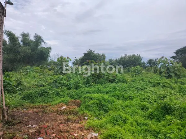 image TANAH, LUAS 5428 M2, YANG BUTUH TANAH PEKARANGAN LUAS , COCOK UNTUK BERBAGAI MACAM BANGUNAN PROPERTI (2)