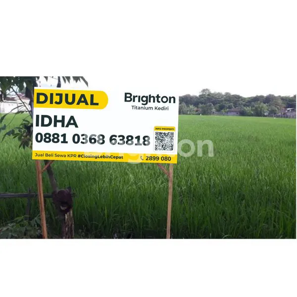 image TANAH SAWAH AKTIF DI TULUNGAGUNG (1)