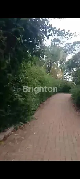 image TANAH KOSONG SIAP BANGUN DI GUNUNG PATI SEMARANG (3)