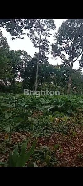 image TANAH KOSONG SIAP BANGUN DI GUNUNG PATI SEMARANG (1)