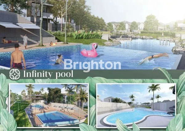 image THE GRANDIS ROYAL SUMATRA TYPE TRISTAN (8)