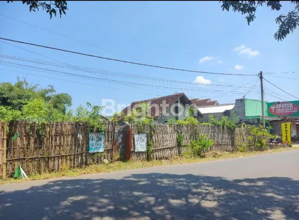 TANAH RAYA SUPROBO POROS UTAMA BANYUWANGI