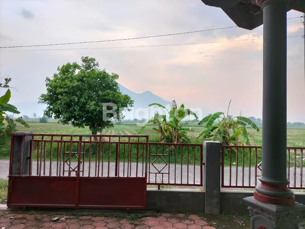 image RUMAH KAMPUNG KREMBUNG, SIDOARJO (NEGO) (5)