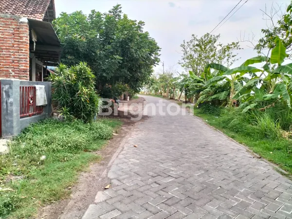 image RUMAH KAMPUNG KREMBUNG, SIDOARJO (NEGO) (6)