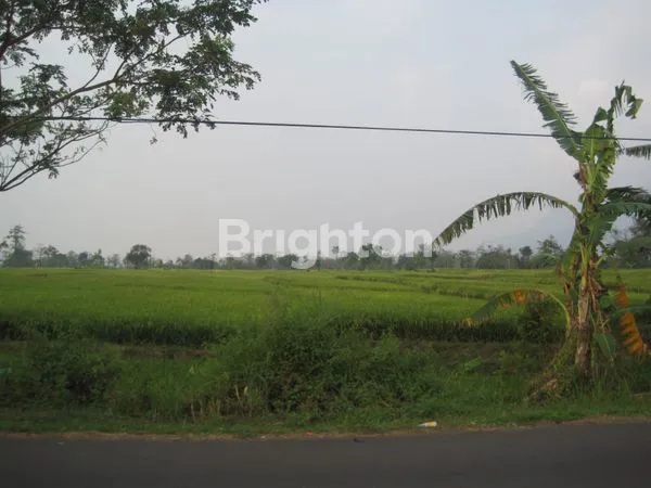 TANAH LOKASI NOL JALAN MOJOKERTO TRAWAS