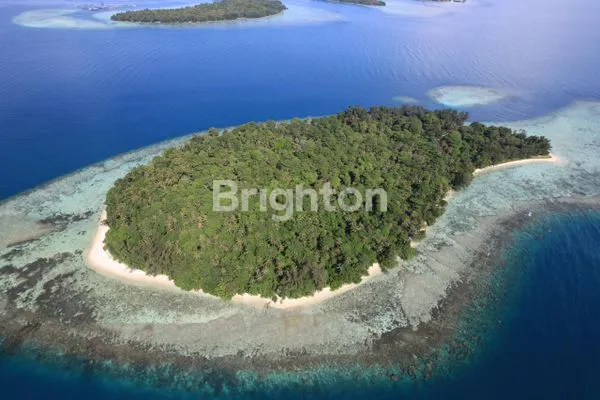 image PULAU MELINJO (2)