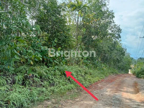 image DI JUAL TANAH LOKASI BALIKPAPAN TIMUR , LUASNYA 10 HEKTAR (1)