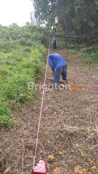 image TANAH LUAS SOMBER (2)