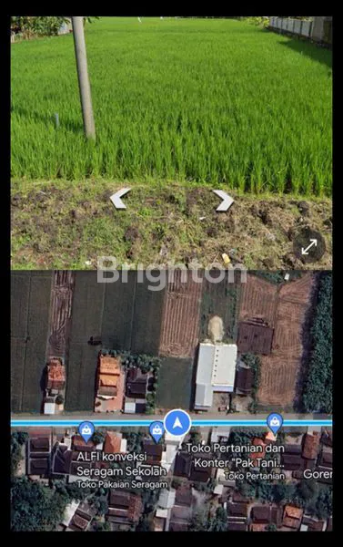 image TANAH DI SRAGEN NGRAMPAL (2)