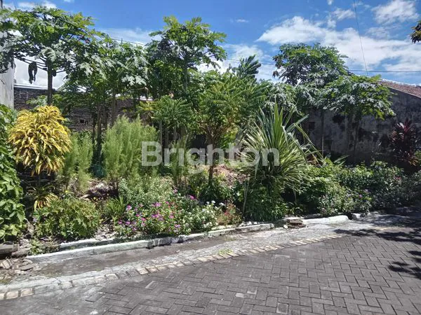 image LAHAN TAMAN GADING JEMBER (2)