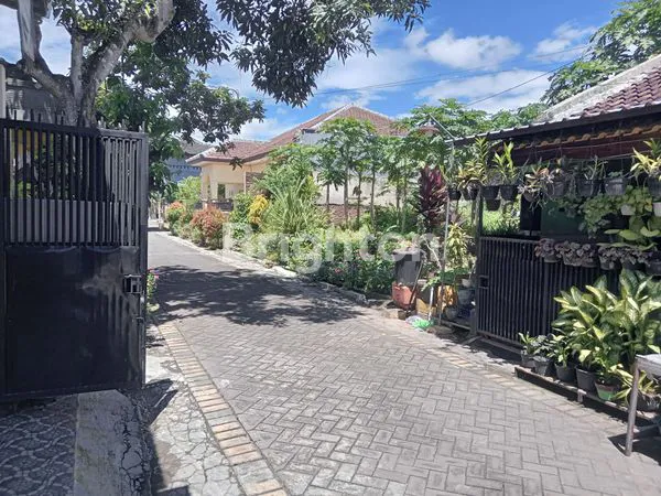 image LAHAN TAMAN GADING JEMBER (3)