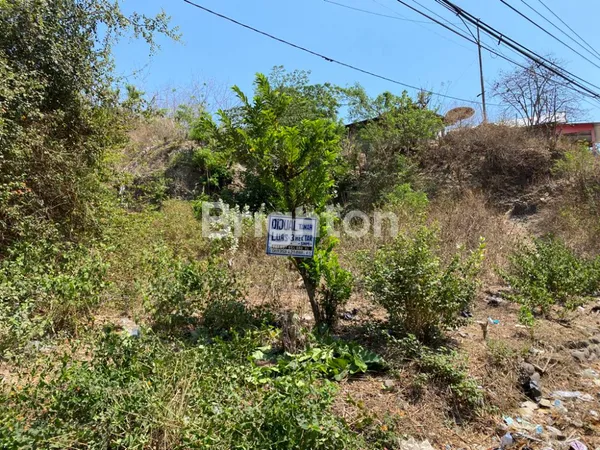 image TANAH LABUHAN BADAS, SUMBAWA (8)