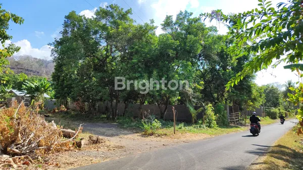 TANAH GLOBAL 1 HEKTAR DI TEMUKUS, BULELENG