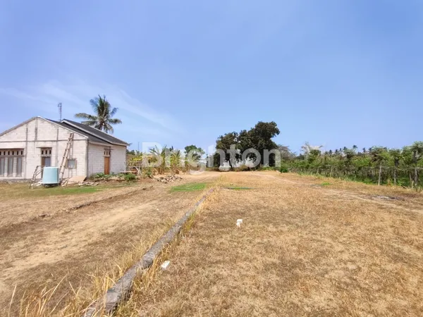 image TANAH GLOBAL AREA GEROKGAK UNTUK PERUMAHAN (1)