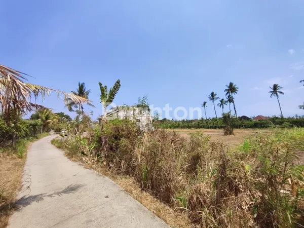 image TANAH GLOBAL AREA GEROKGAK UNTUK PERUMAHAN (4)