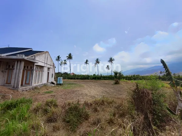 image TANAH GLOBAL AREA GEROKGAK UNTUK PERUMAHAN (5)