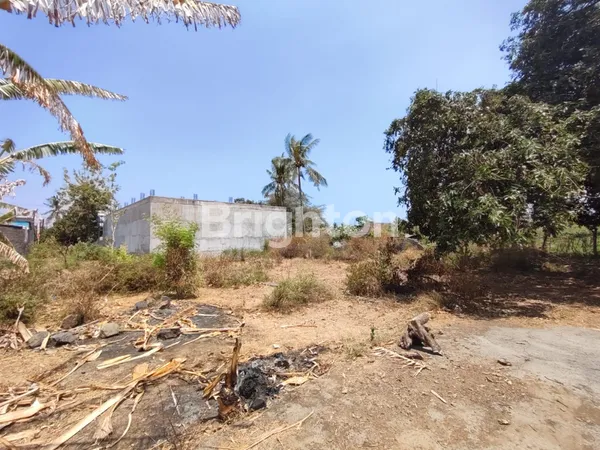 image TANAH GLOBAL AREA GEROKGAK UNTUK PERUMAHAN (6)