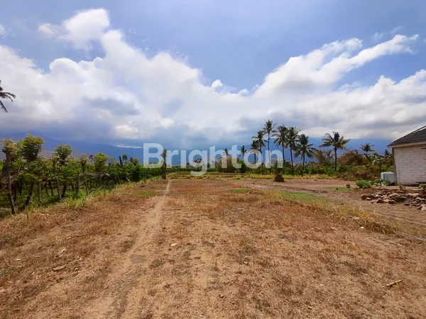 image TANAH GLOBAL AREA GEROKGAK UNTUK PERUMAHAN (7)