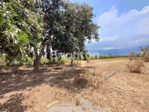 image TANAH GLOBAL AREA GEROKGAK UNTUK PERUMAHAN (8)