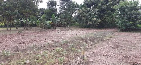 image TANAH KAVLING DI MENGANTI HARGA UNDER 100JT SAJA (2)