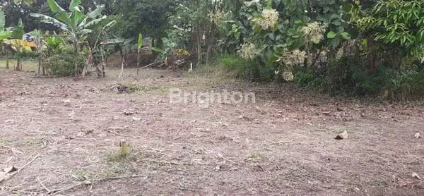 image TANAH KAVLING DI MENGANTI HARGA UNDER 100JT SAJA (3)