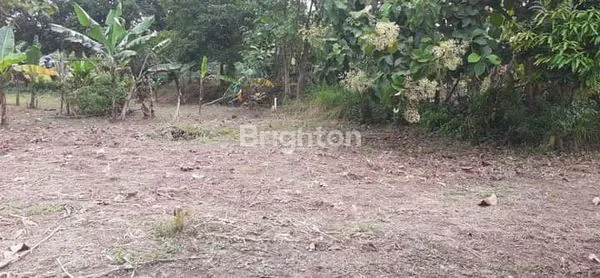 image TANAH KAVLING DI MENGANTI HARGA UNDER 100JT SAJA (4)