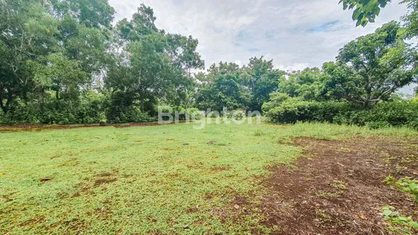 image TANAH 15 ARE OCEANVIEW HADAP TIMUR LAUT DI JL. LABUANSAIT (3)