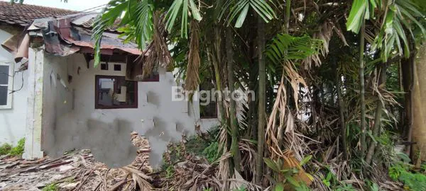 image TANAH LIPPO CIKARANG MEADOW GREEN (1)